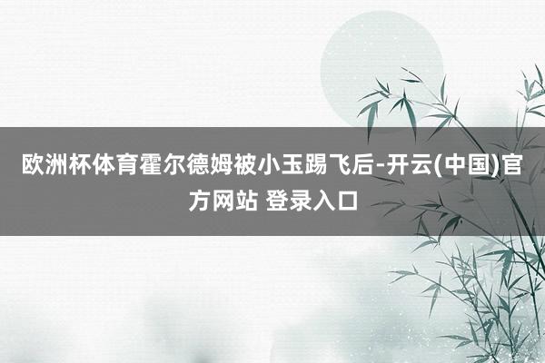 欧洲杯体育霍尔德姆被小玉踢飞后-开云(中国)官方网站 登录入口